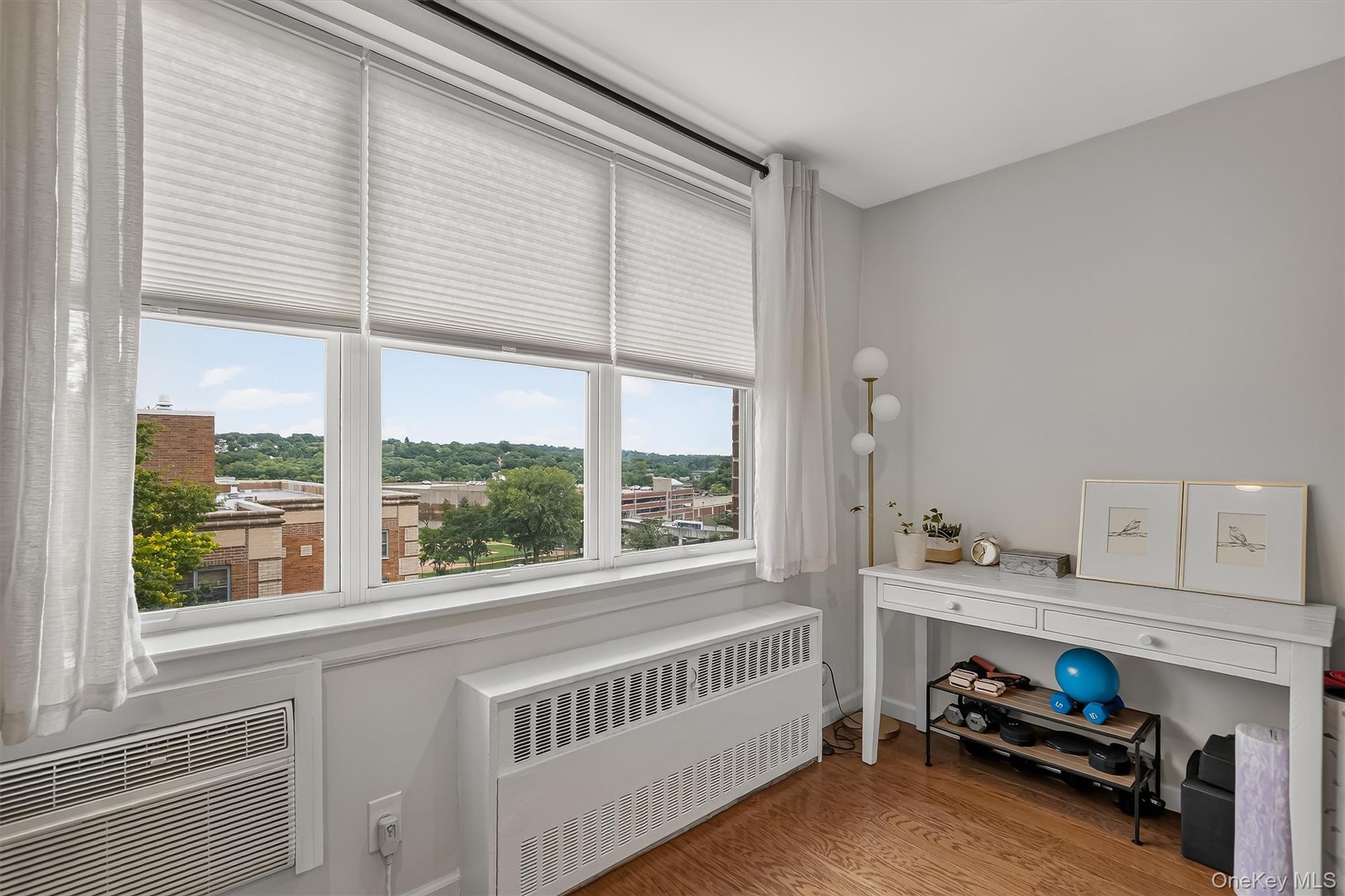 25 Franklin Avenue 6c Property Photo 21