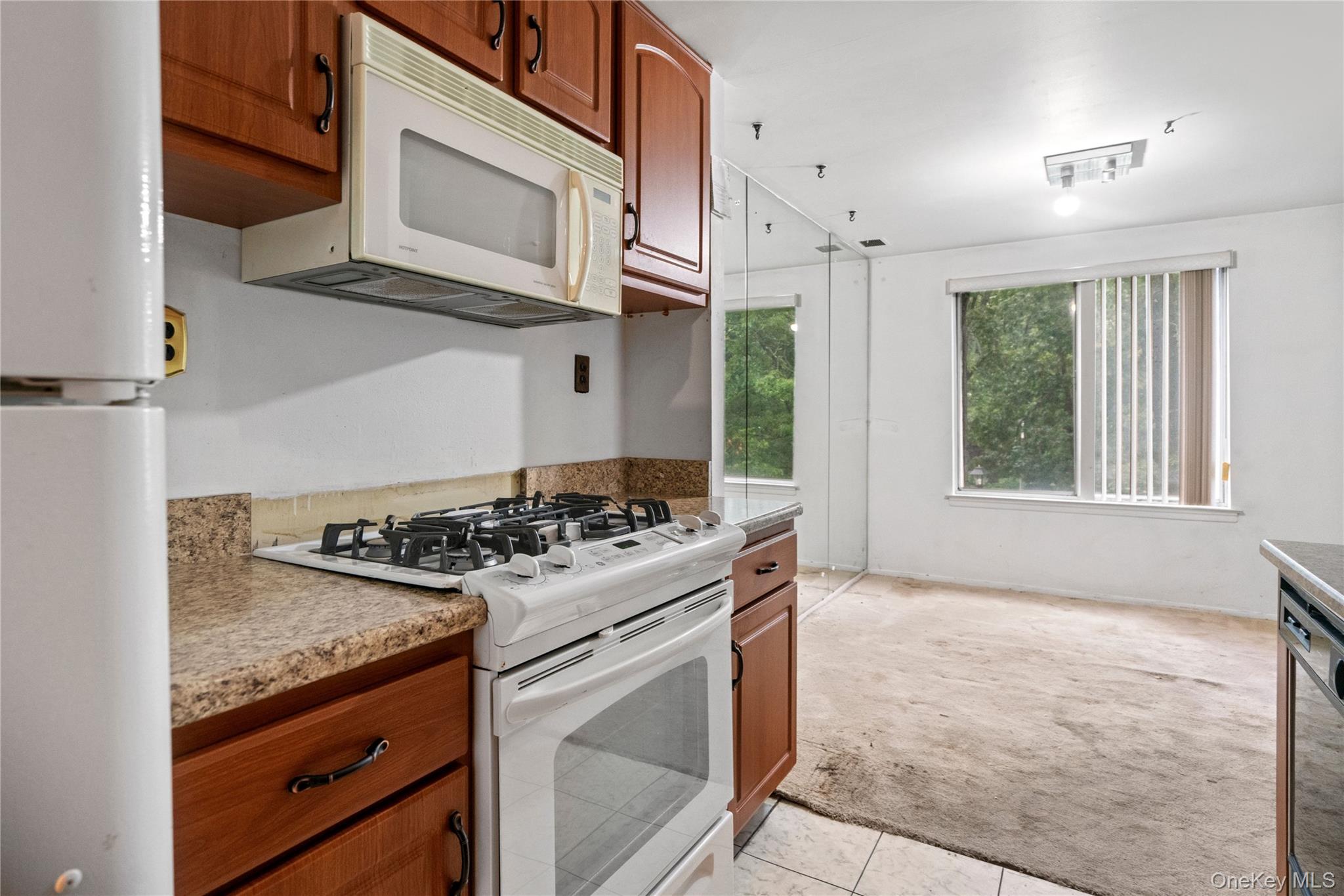 221 Sagamore Hills Drive 221 Property Photo 14