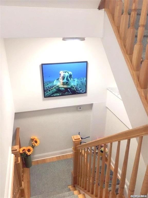 24 Virginia Avenue Top Property Photo 12