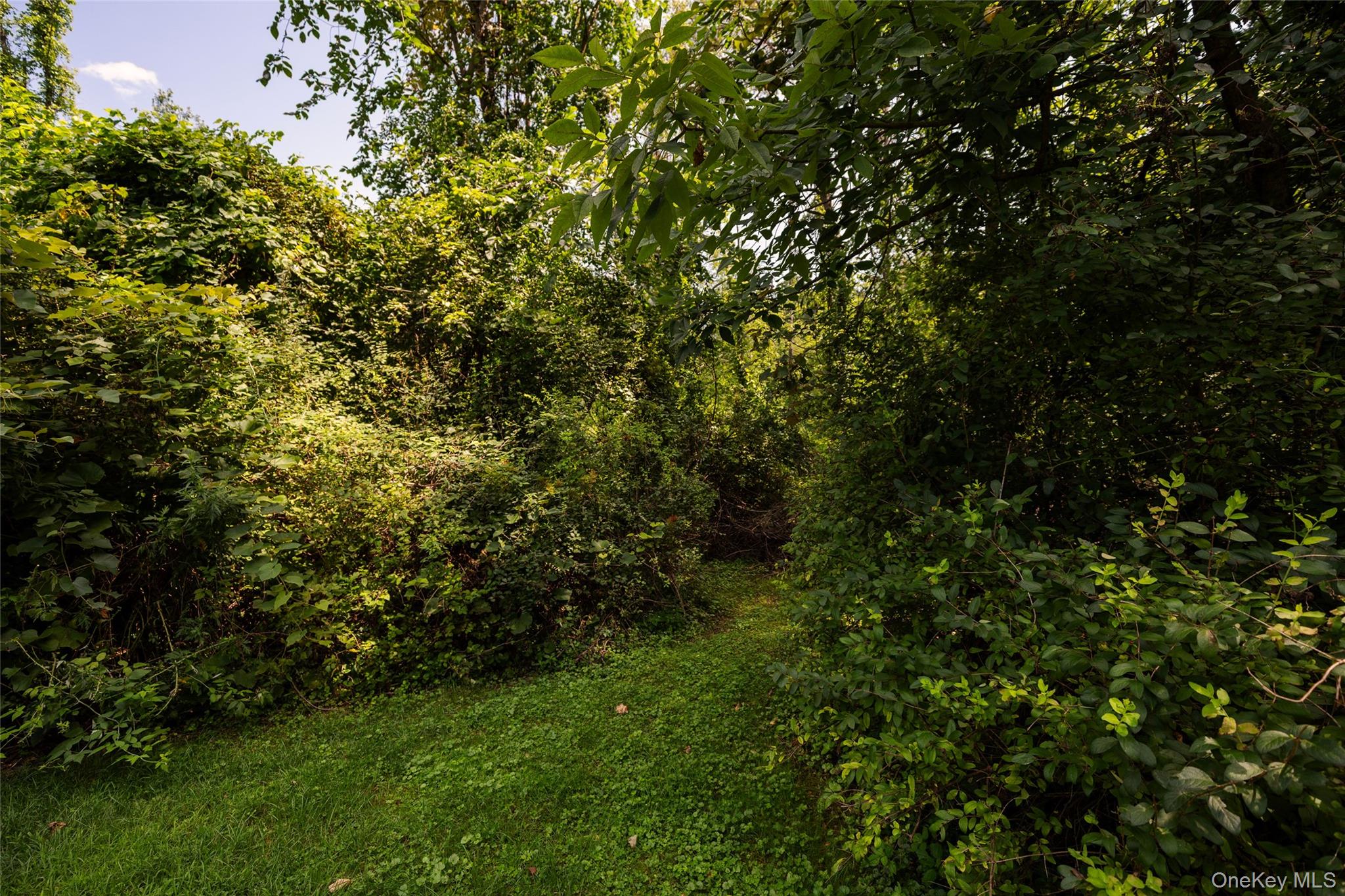 555 Plutarch Property Photo 34