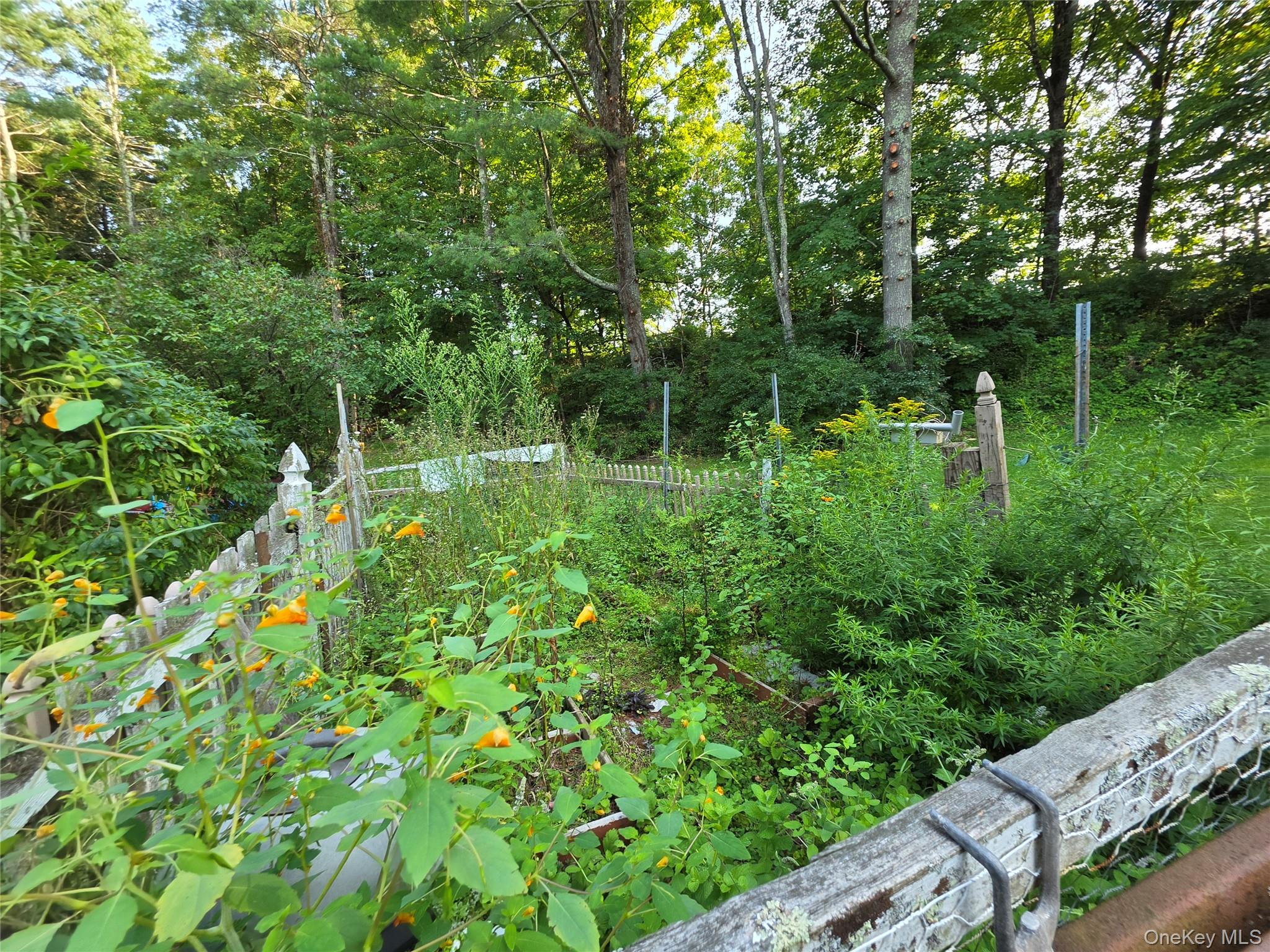116 Summitville Road Property Photo 23