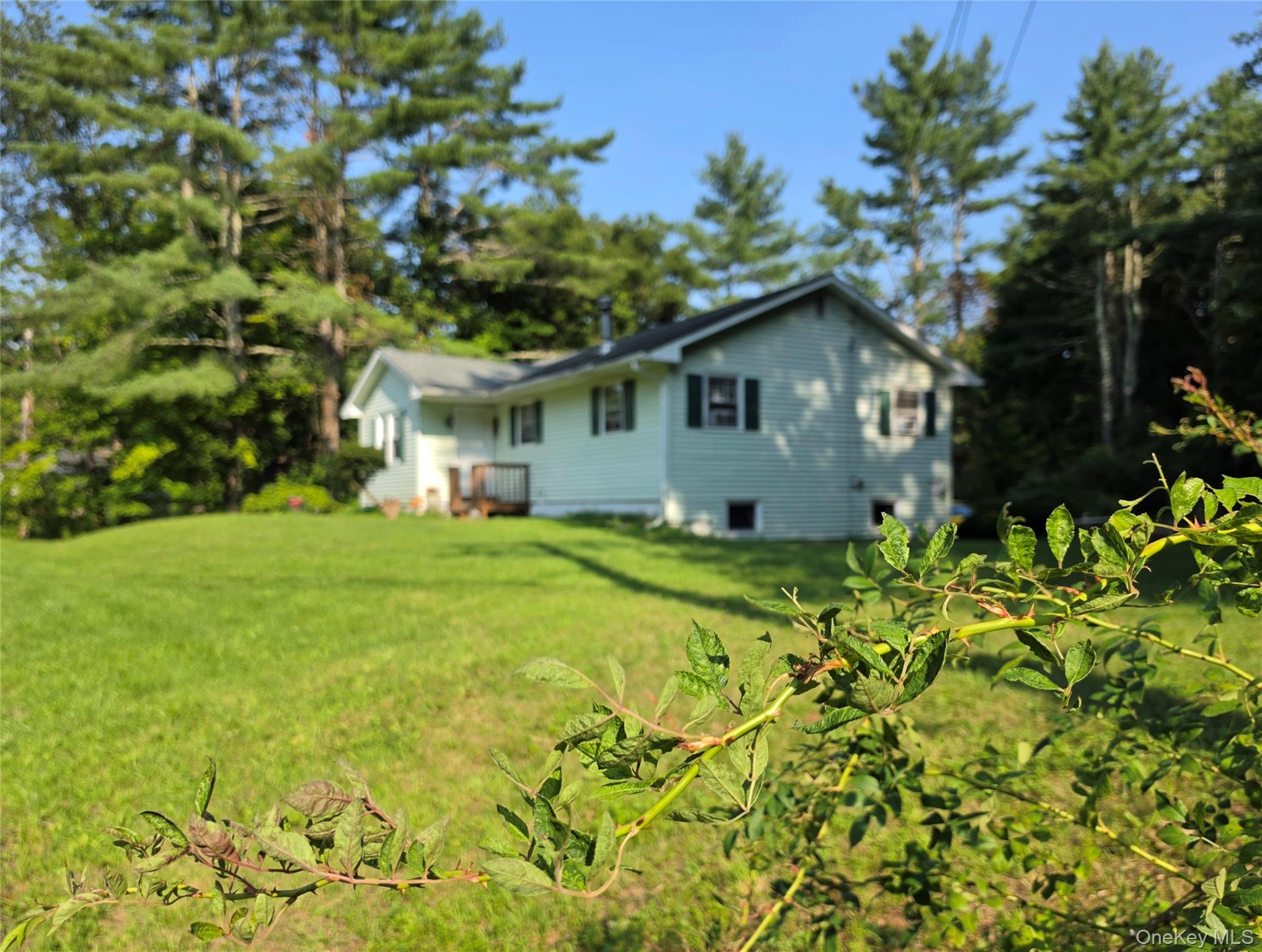 116 Summitville Road Property Photo 46