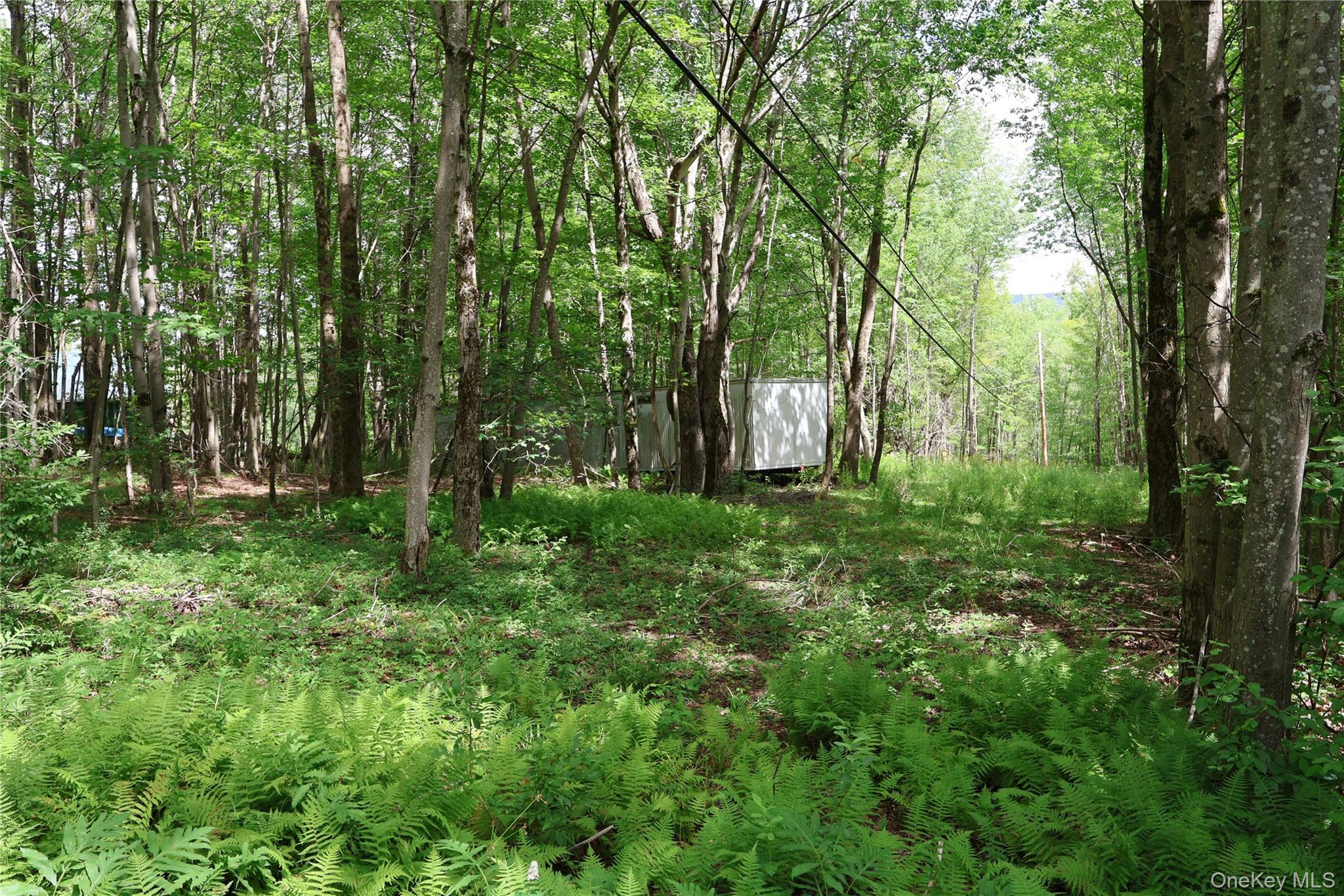 7401 Millbrook Road Property Photo 2