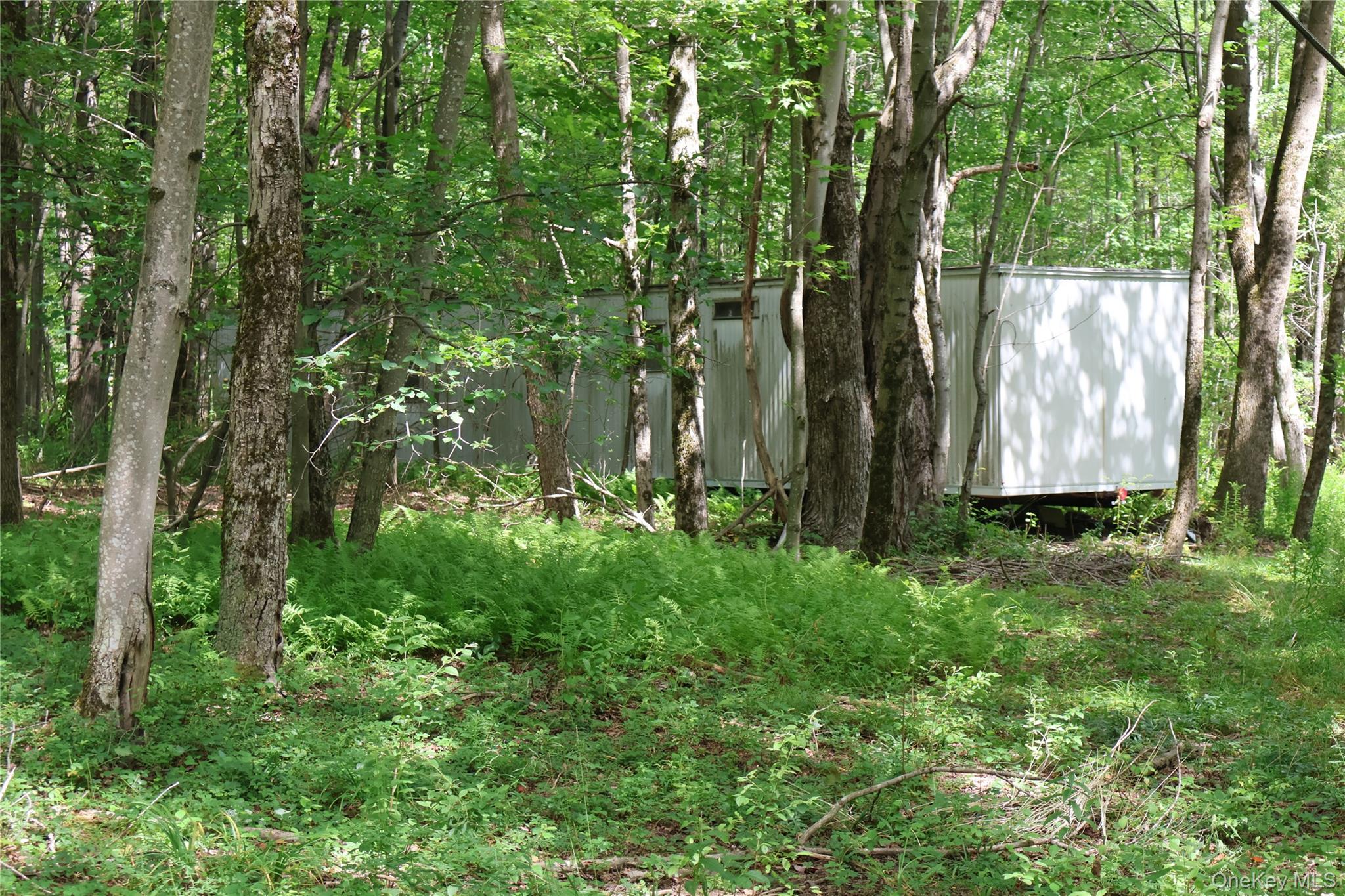 7401 Millbrook Road Property Photo 3