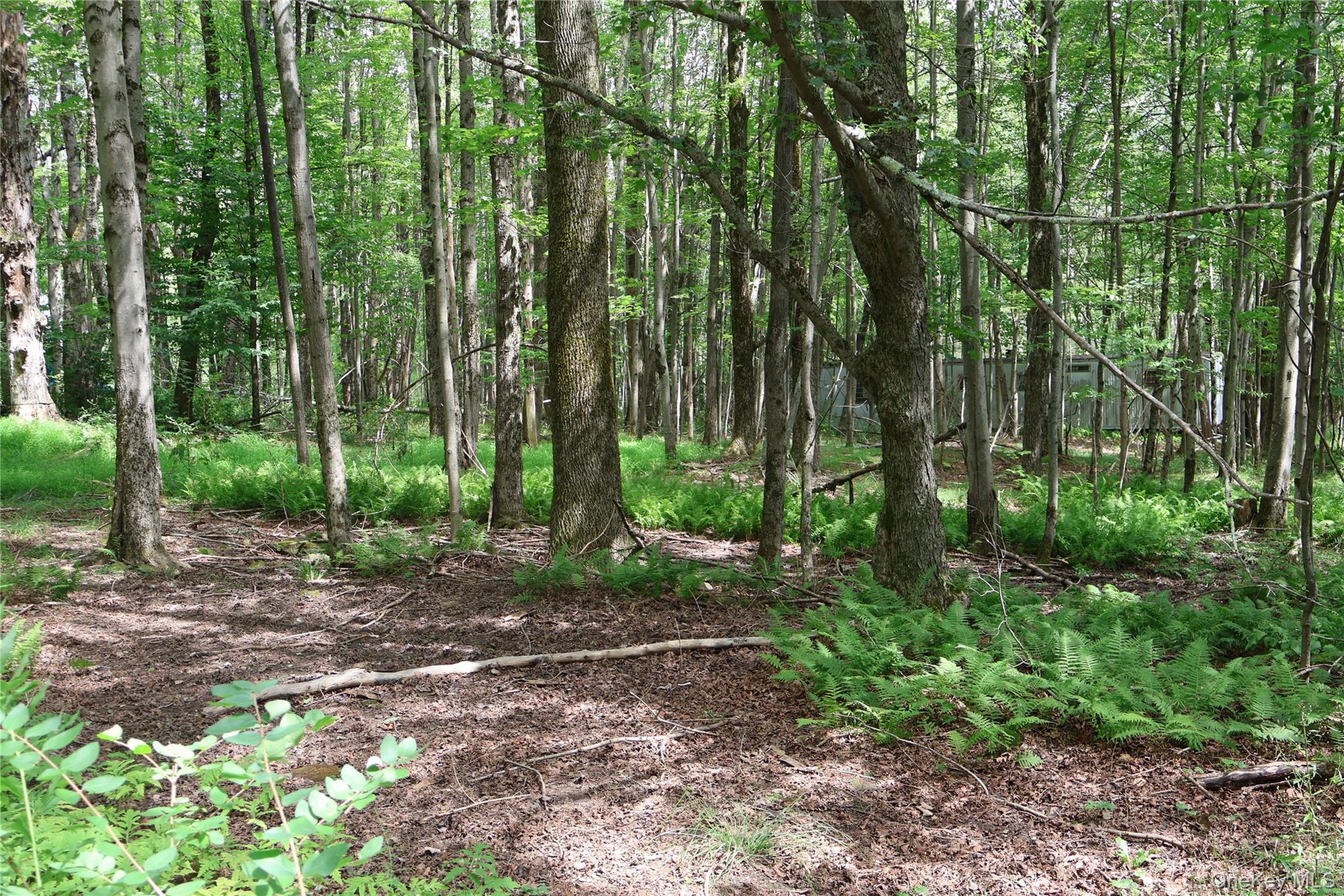 7401 Millbrook Road Property Photo 4