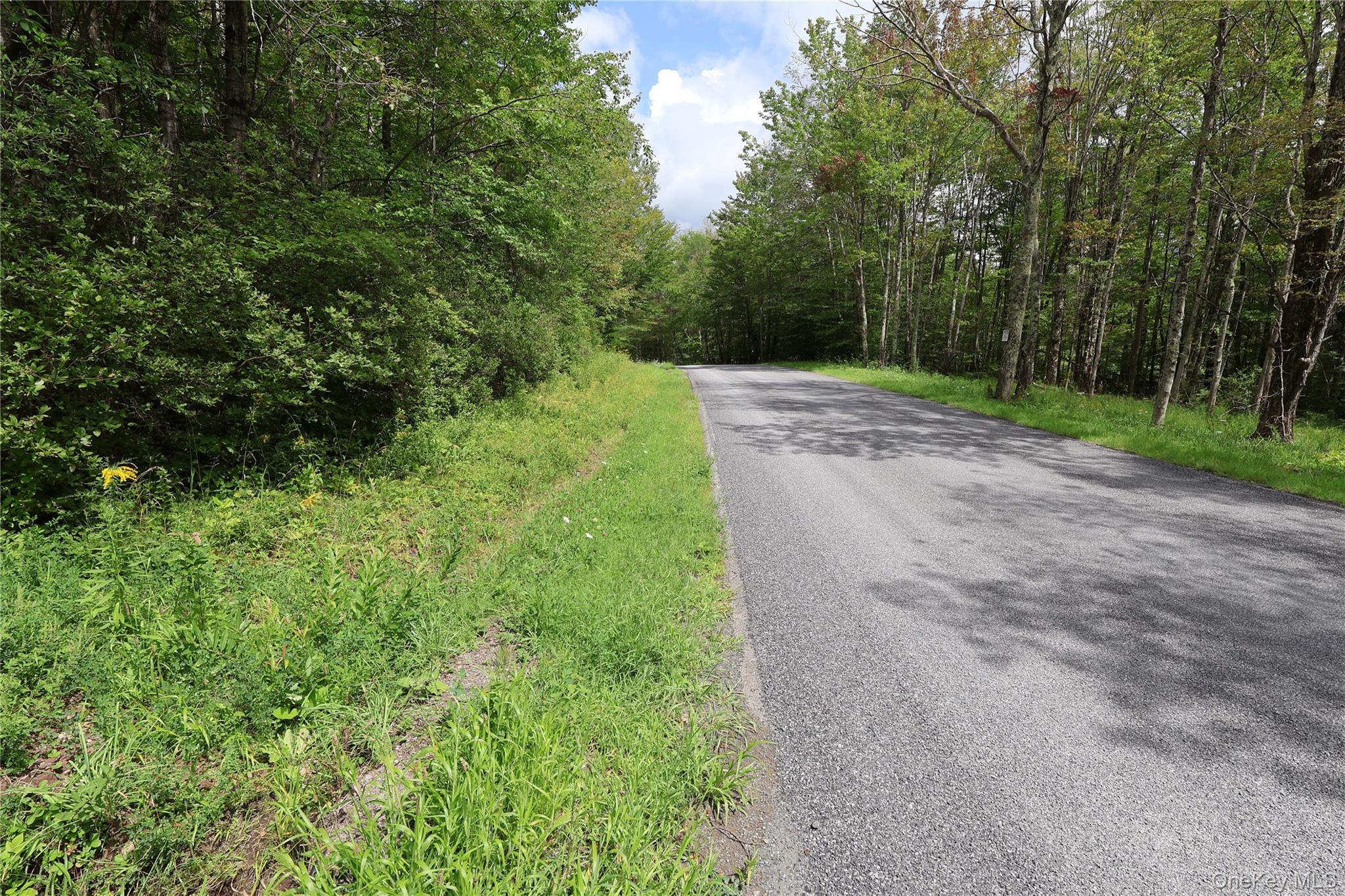 7401 Millbrook Road Property Photo 6
