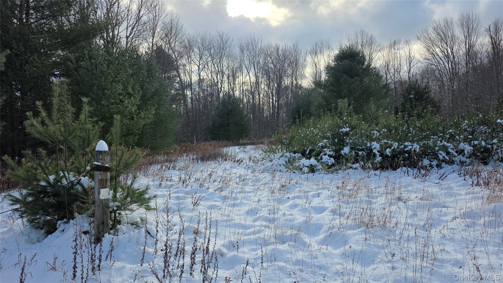 1487 Ulster Heights Road Property Photo 4