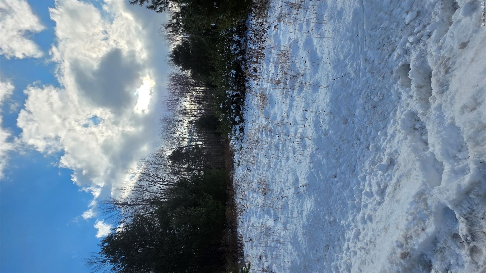 1487 Ulster Heights Road Property Photo 5