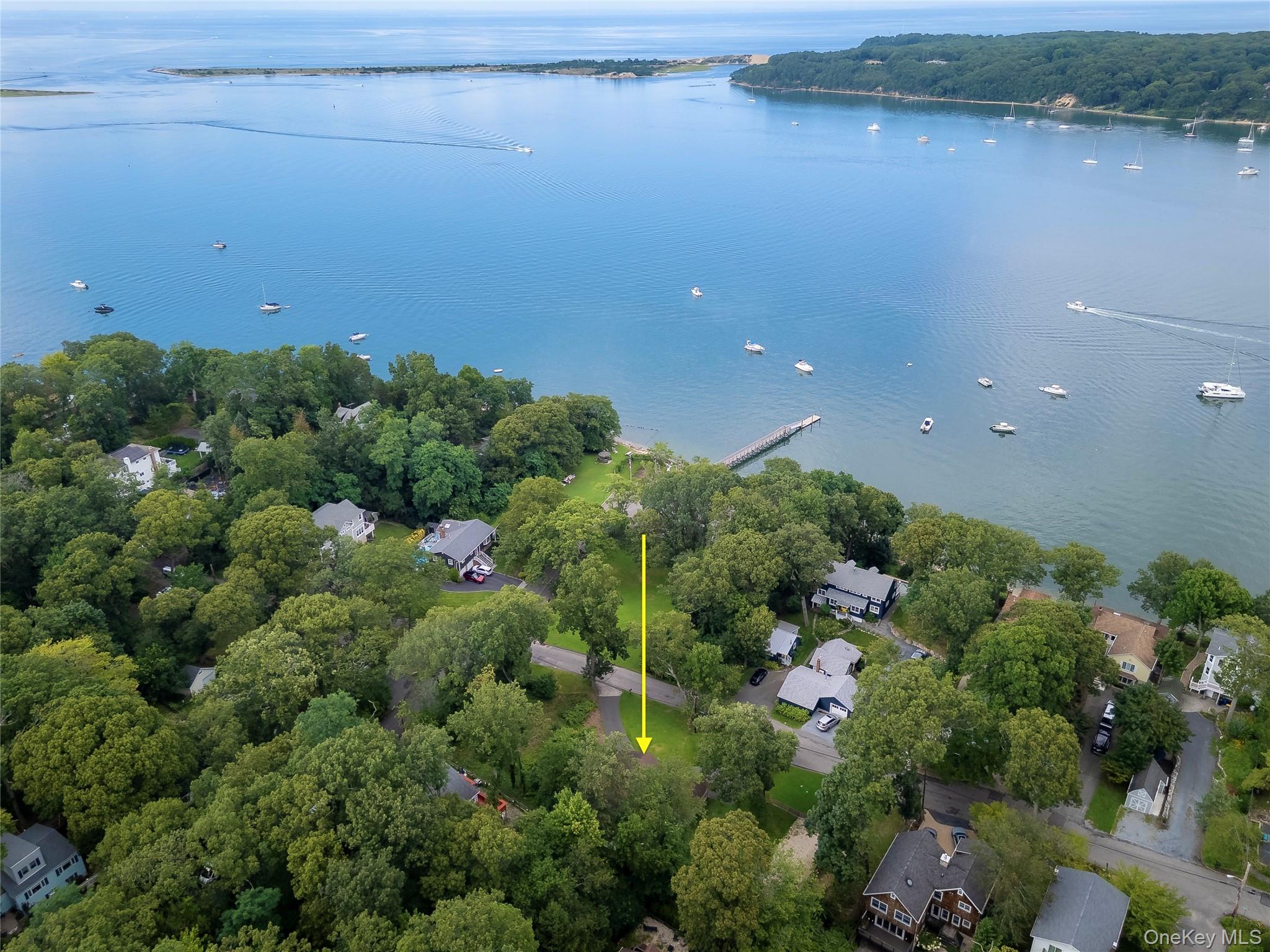 44 Chestnut Avenue Property Photo 2