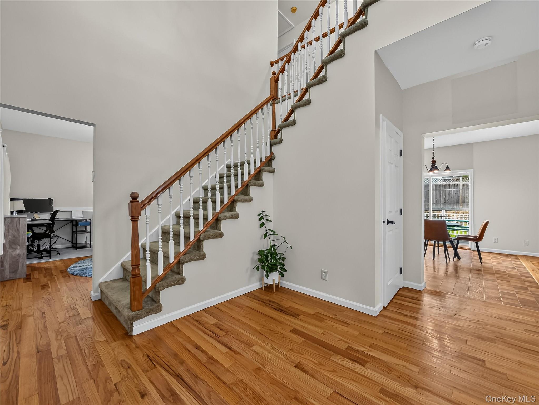 14 Suffern Road Property Photo 4