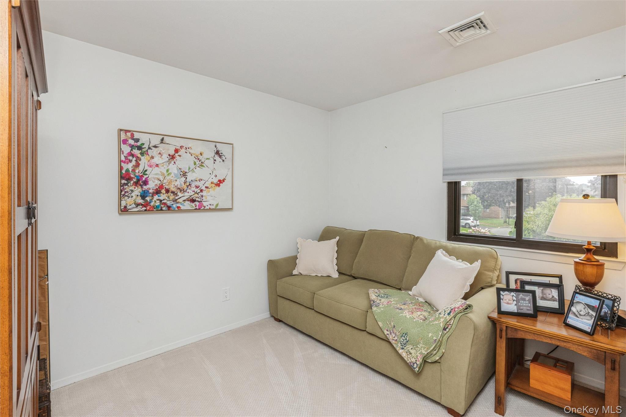 120 Scarlett Drive Property Photo 24