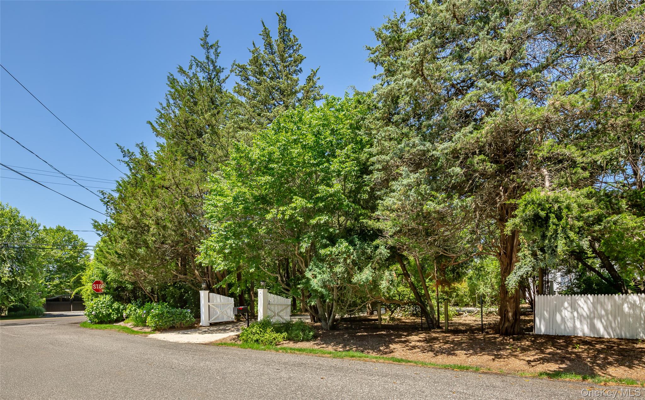 14 Rose Hill Road Property Photo 39