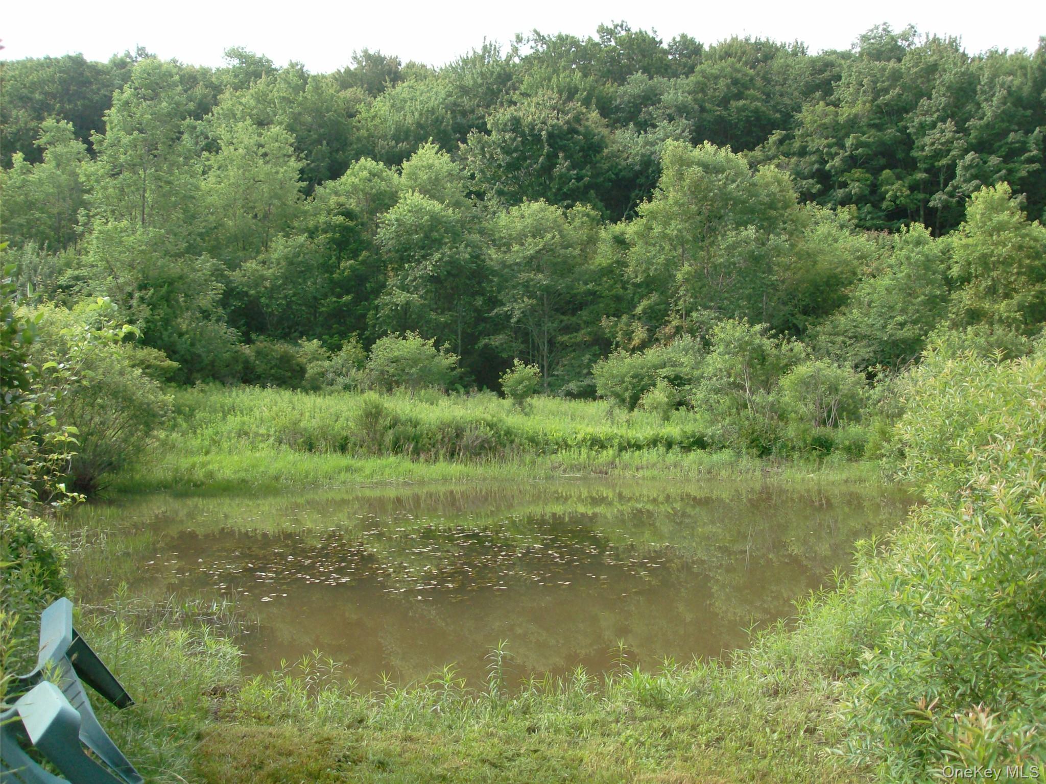 5176 Campbell Brook Road Property Photo 23