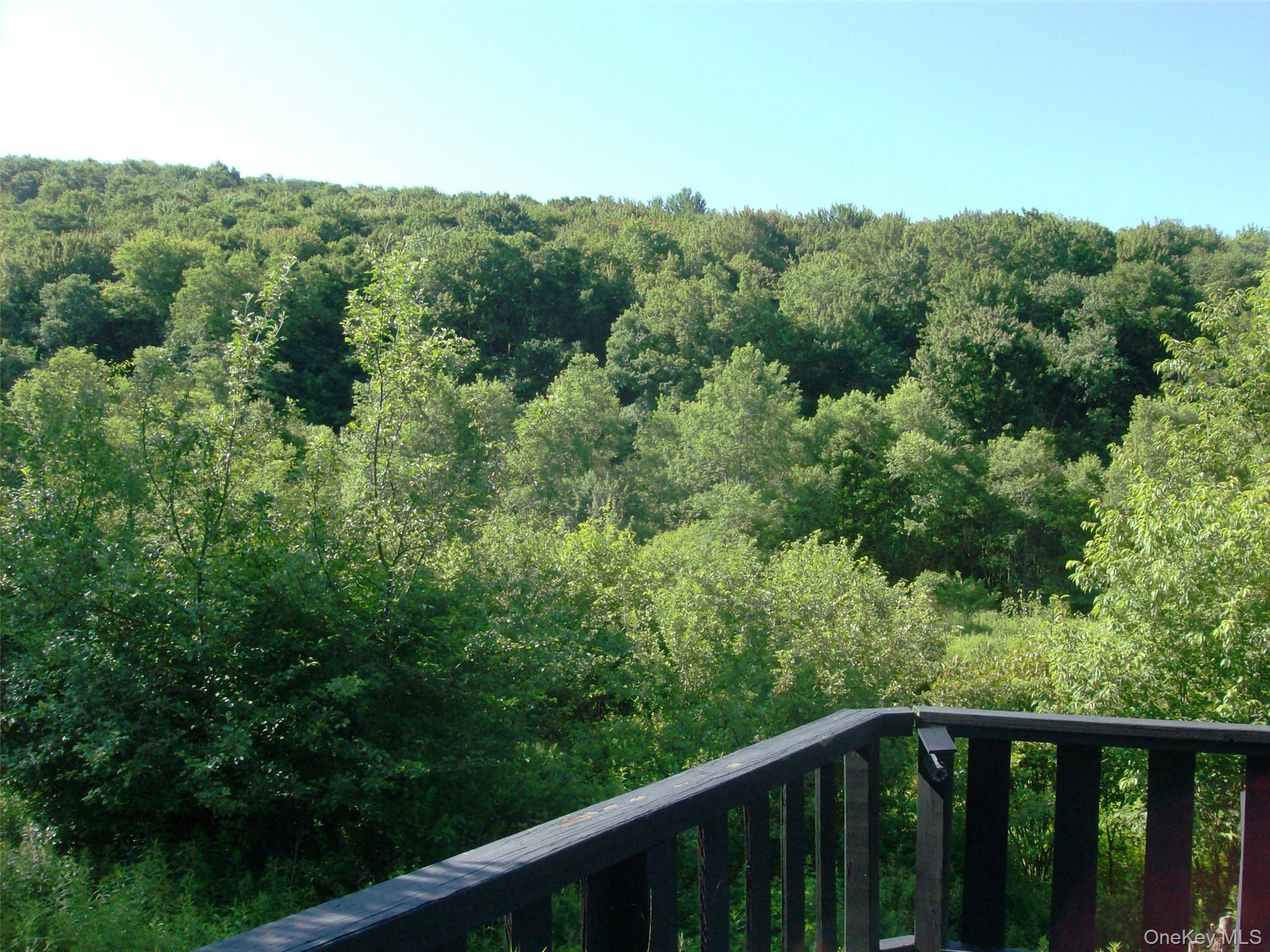 5176 Campbell Brook Road Property Photo 28