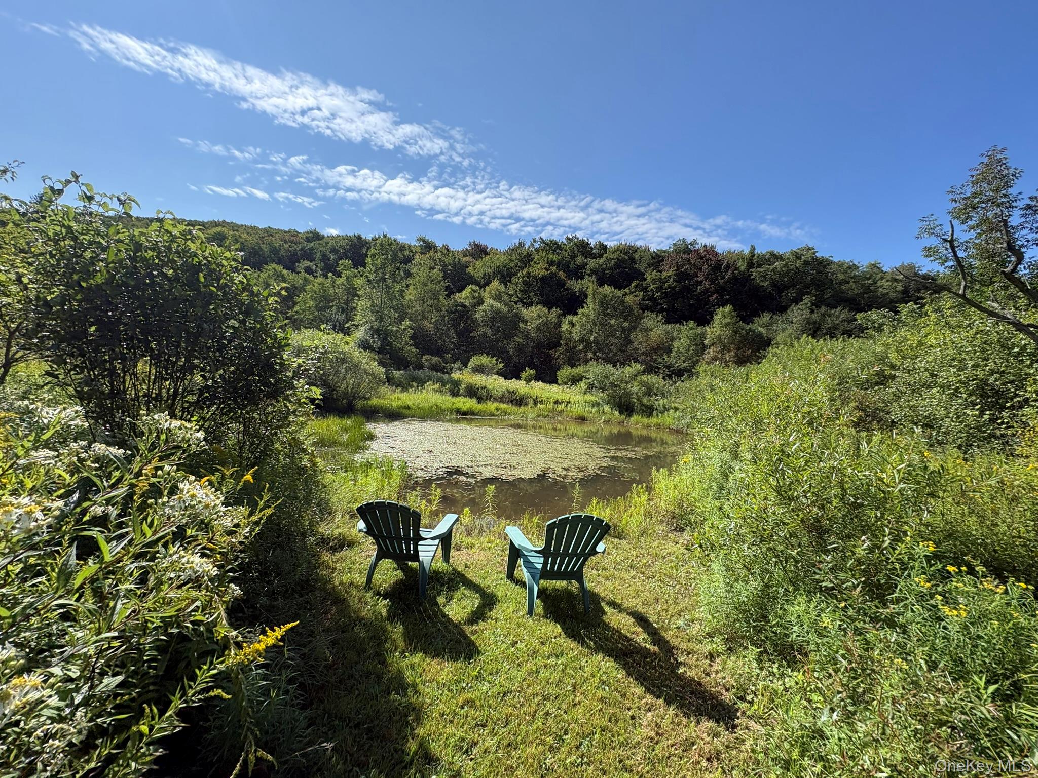 5176 Campbell Brook Road Property Photo 35