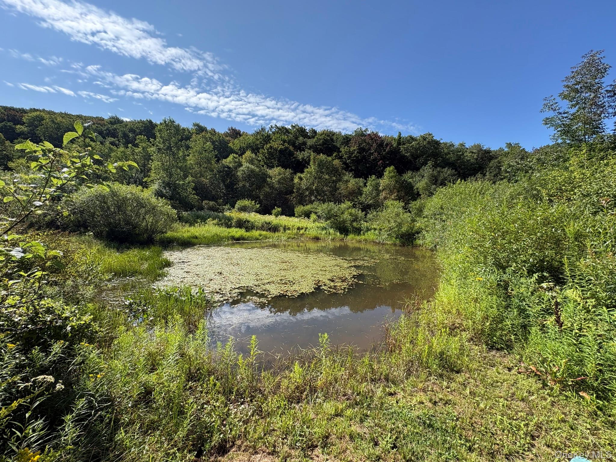 5176 Campbell Brook Road Property Photo 40