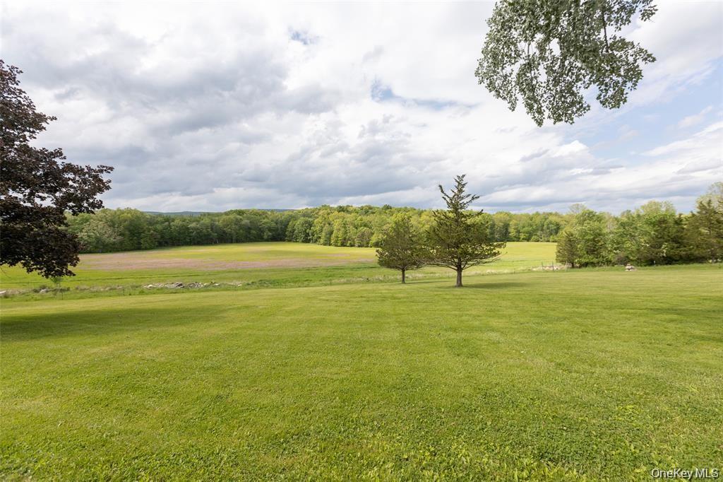4 Low Road Property Photo 43