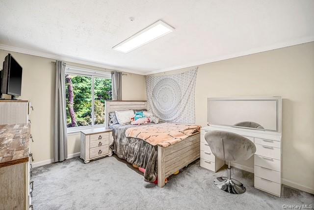 275 Birchwood Road Property Photo 19