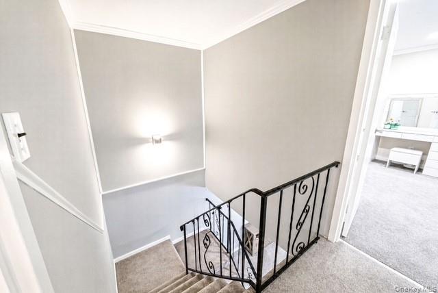 275 Birchwood Road Property Photo 21
