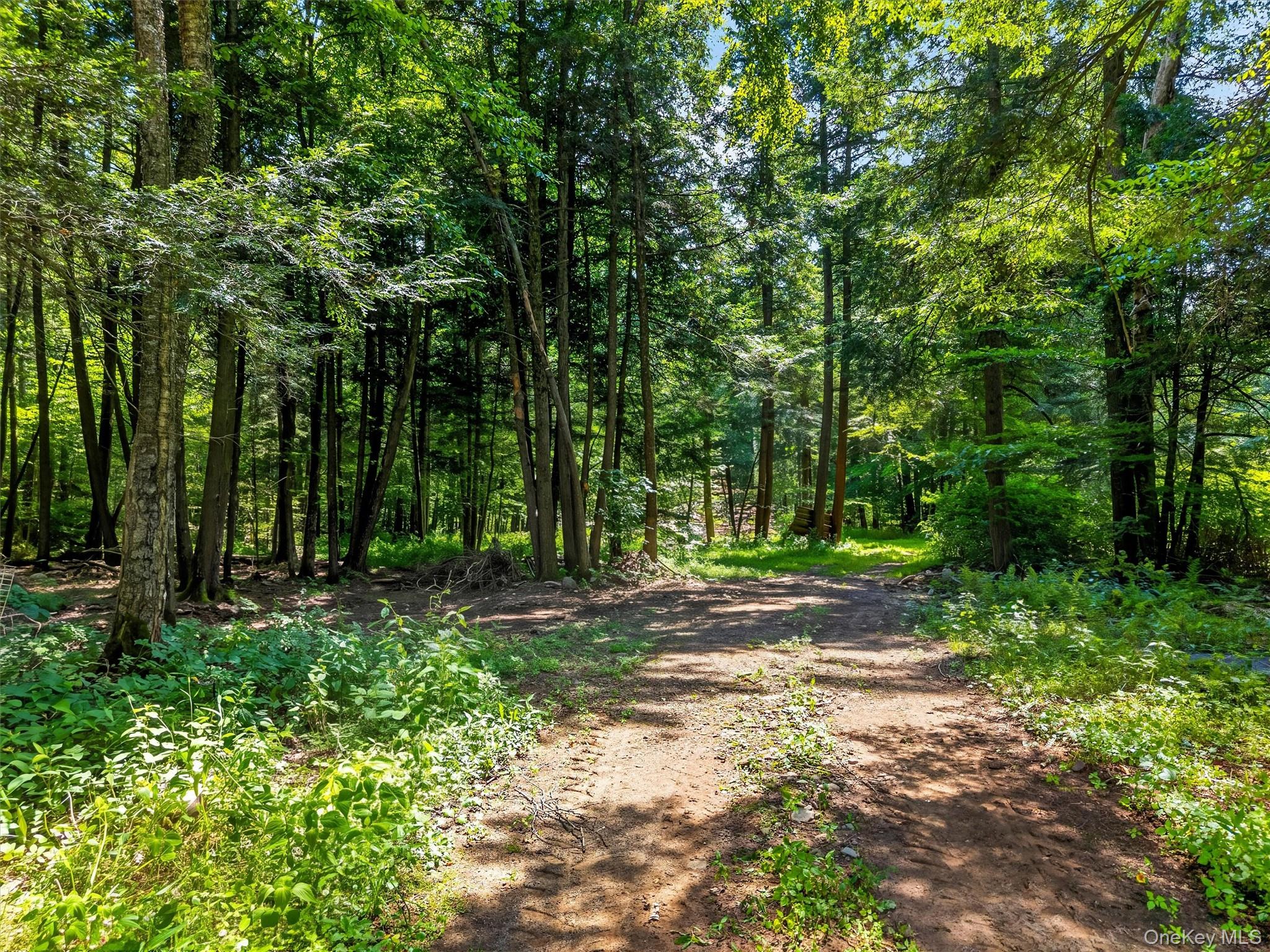 139 Callicoon Center Road Property Photo 12