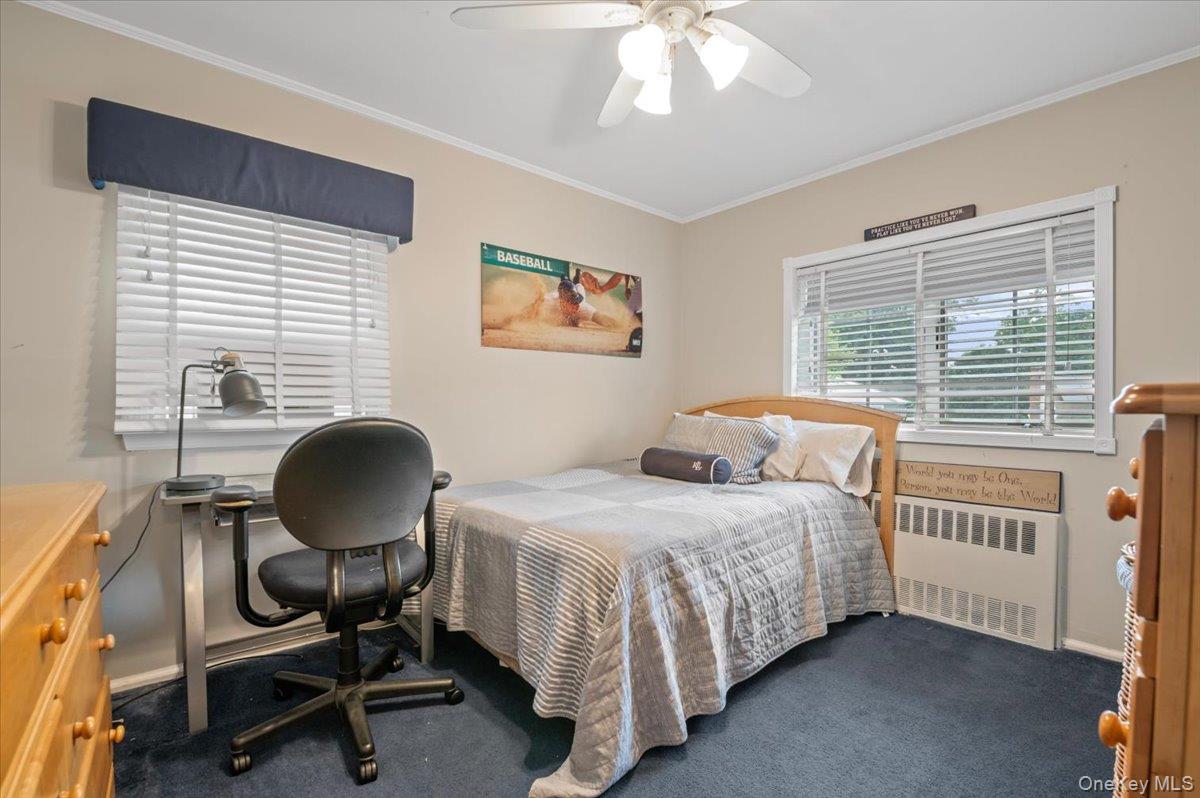 15 Eleanor Road Property Photo 22