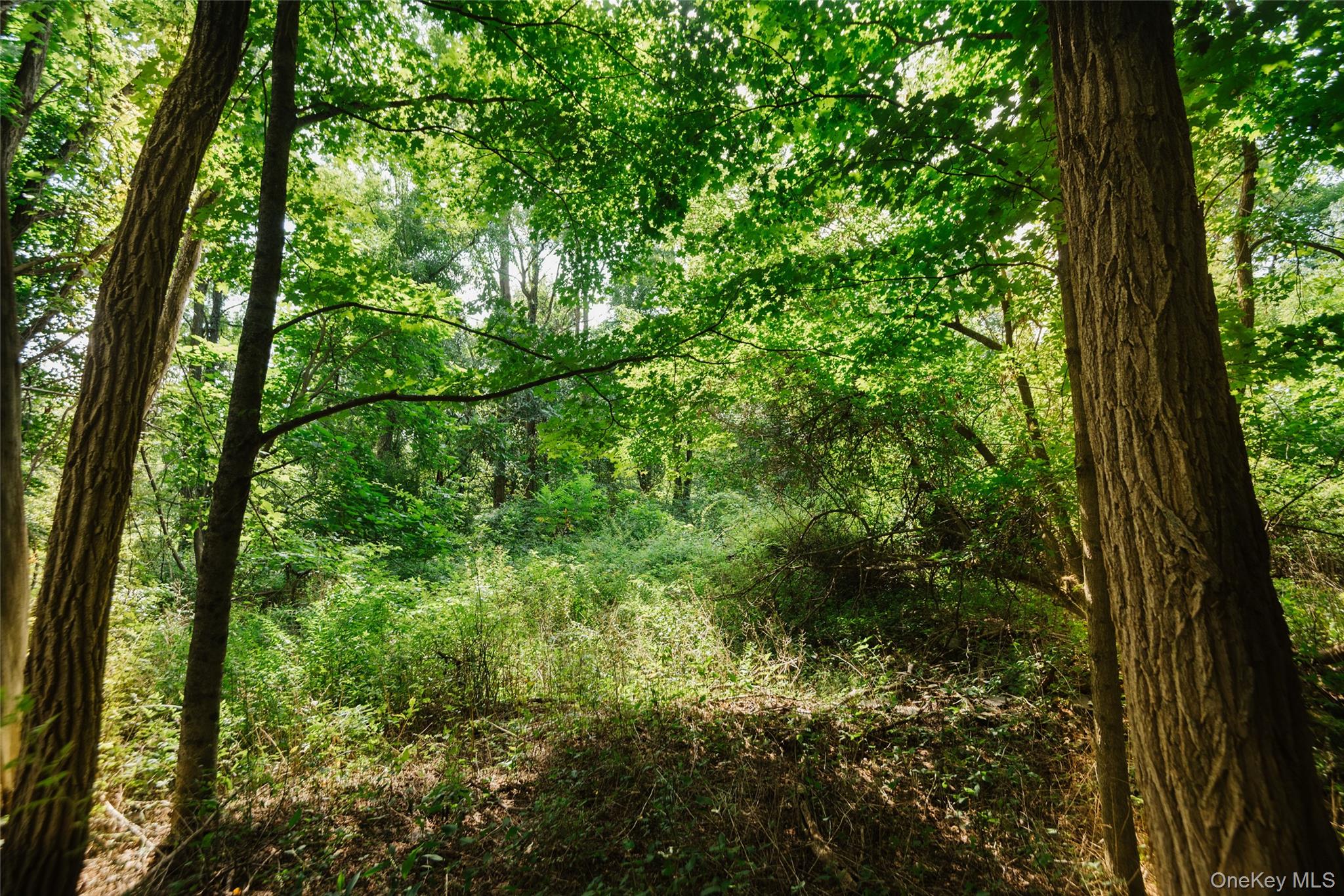 Plattekill Ardonia Road Property Photo 4