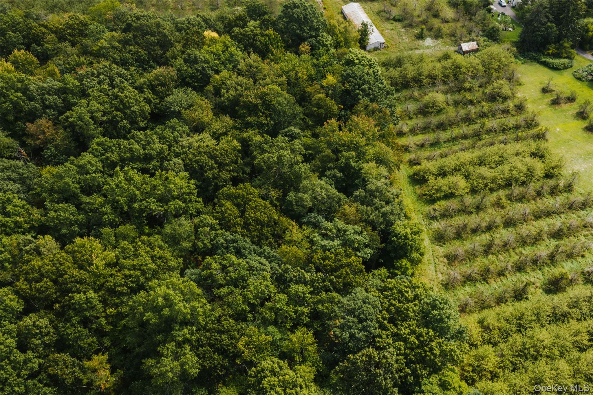 Plattekill Ardonia Road Property Photo 9