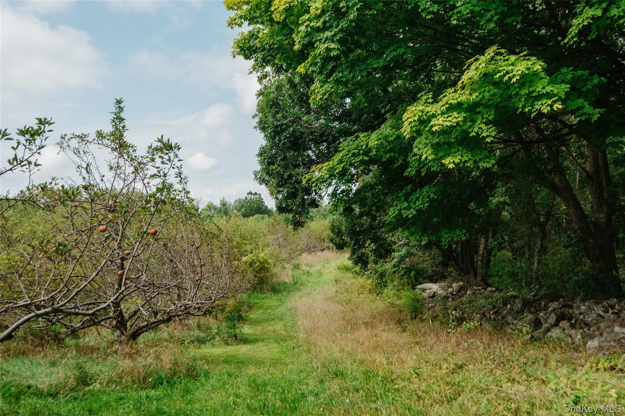 Plattekill Ardonia Road Property Photo 14