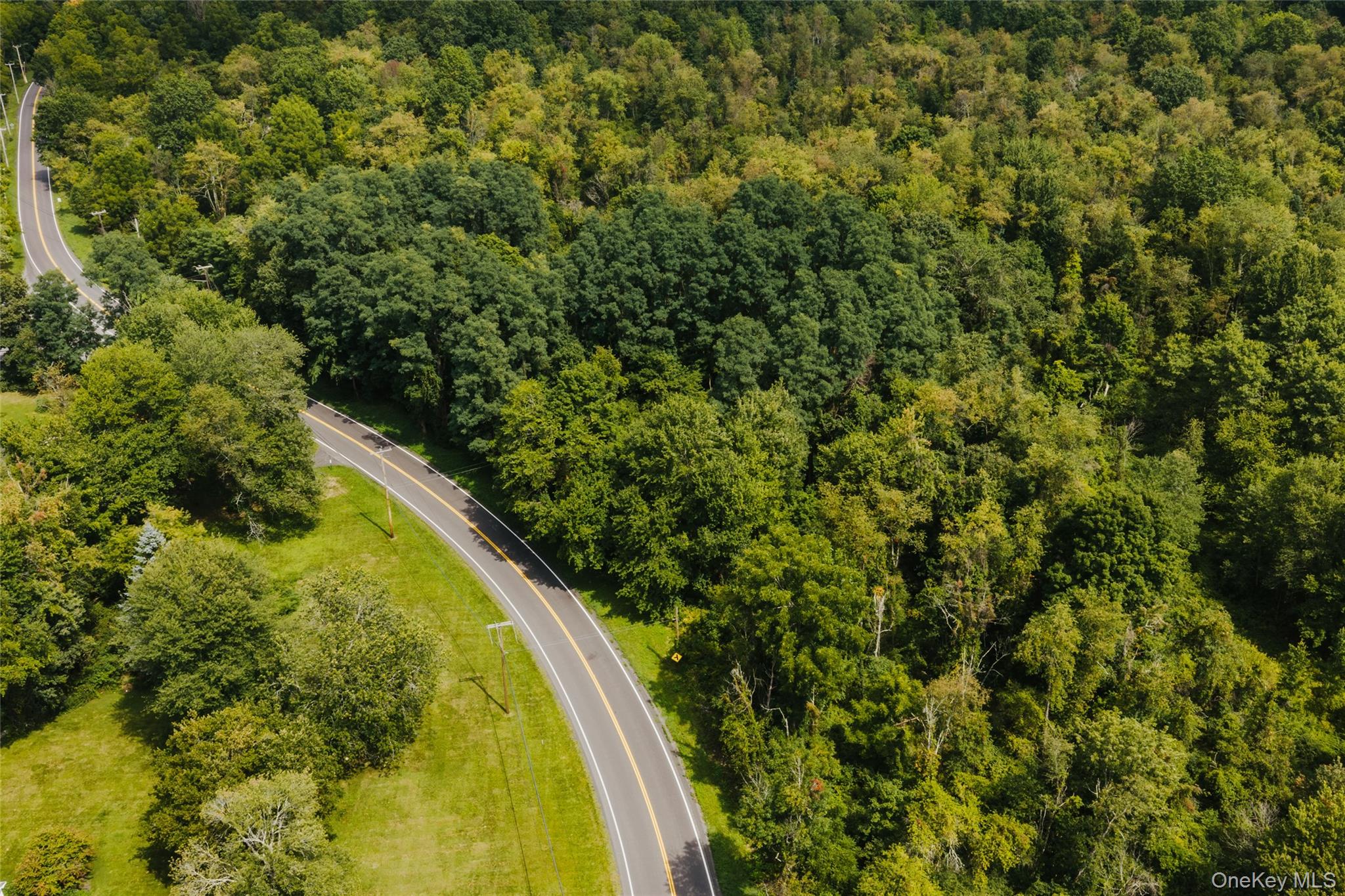Plattekill Ardonia Road Property Photo 16