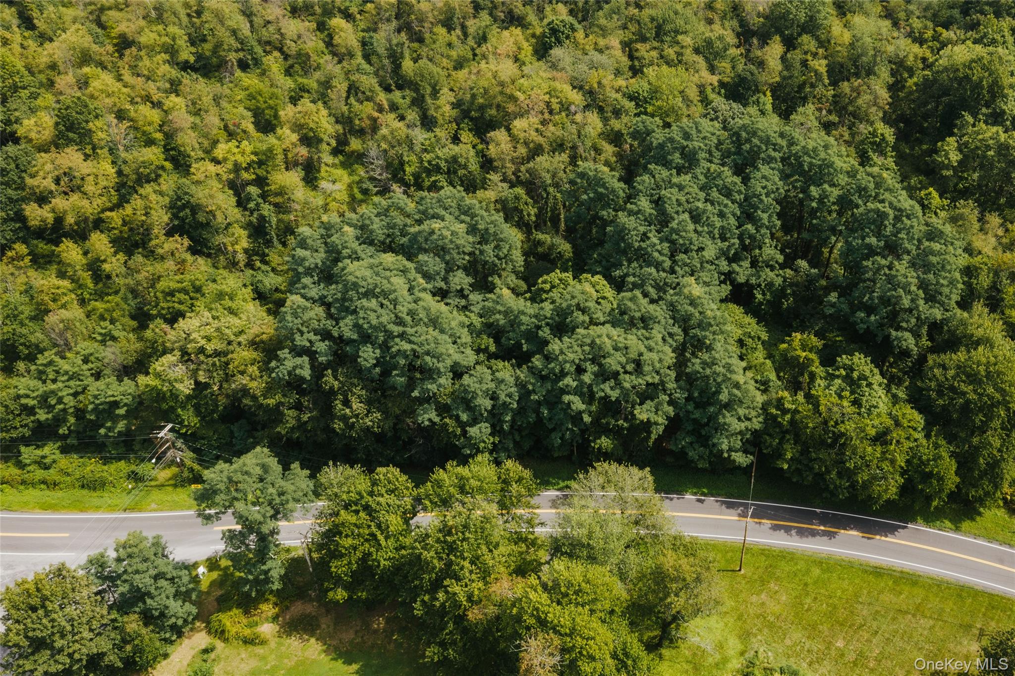 Plattekill Ardonia Road Property Photo 18