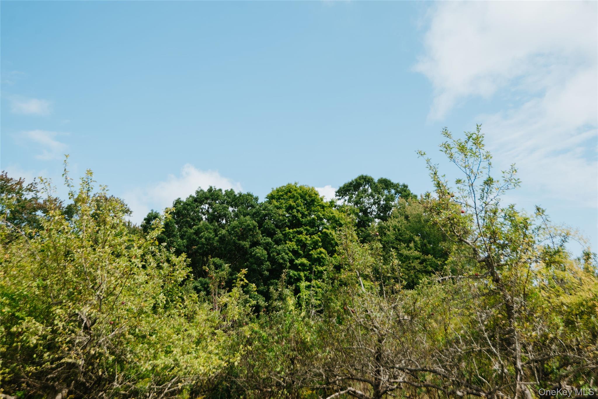 Plattekill Ardonia Road Property Photo 20