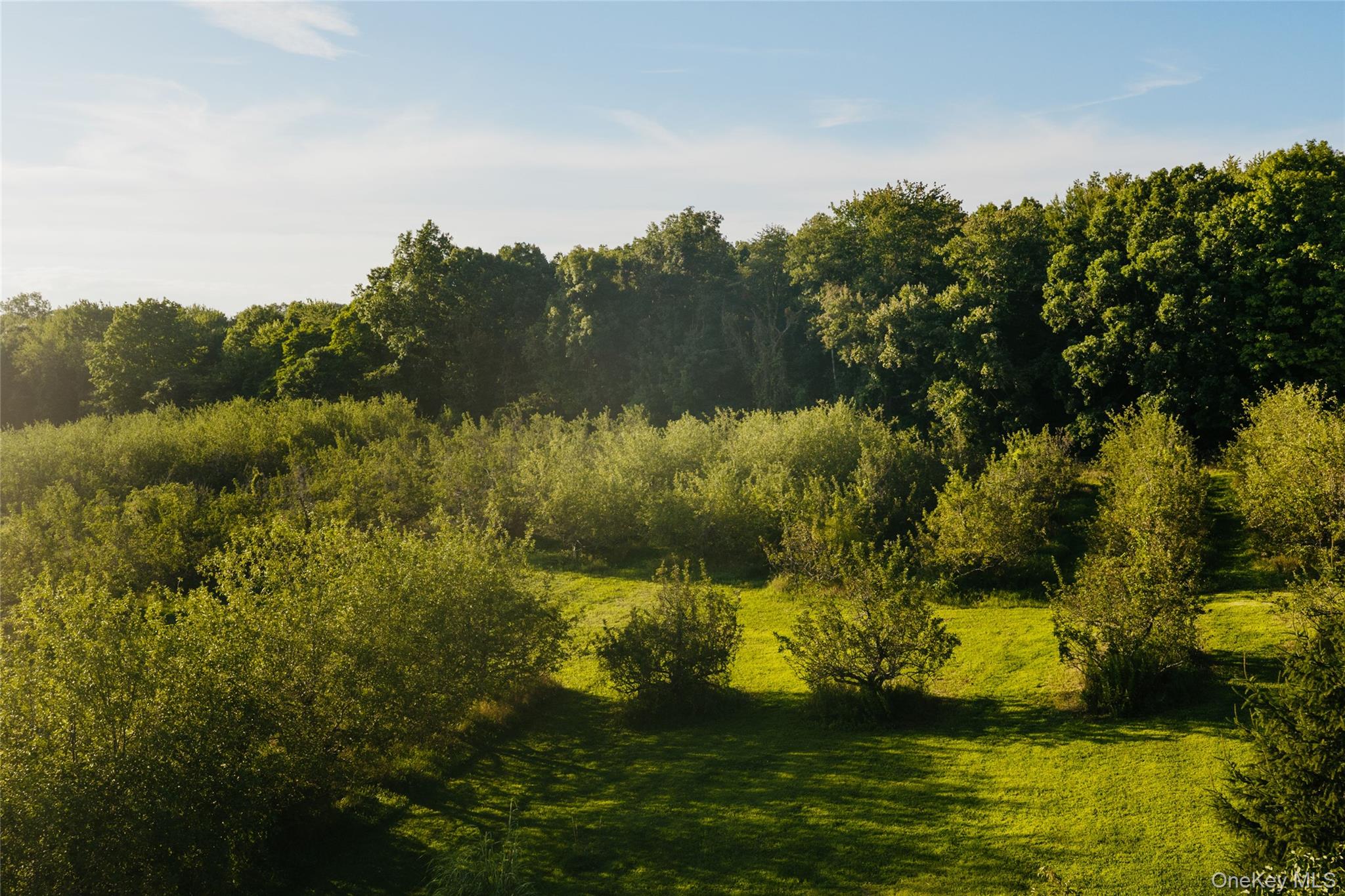 Fosler Road Property Photo 3