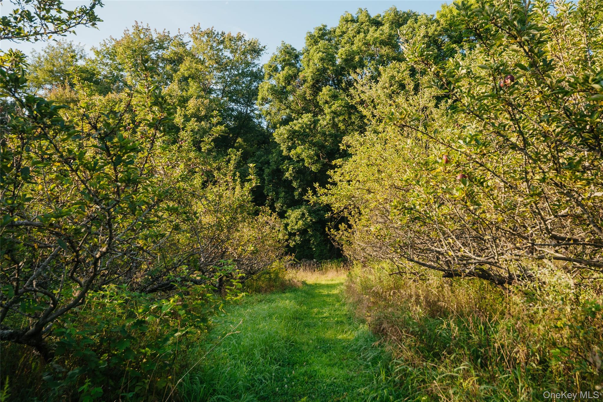 Fosler Road Property Photo 4