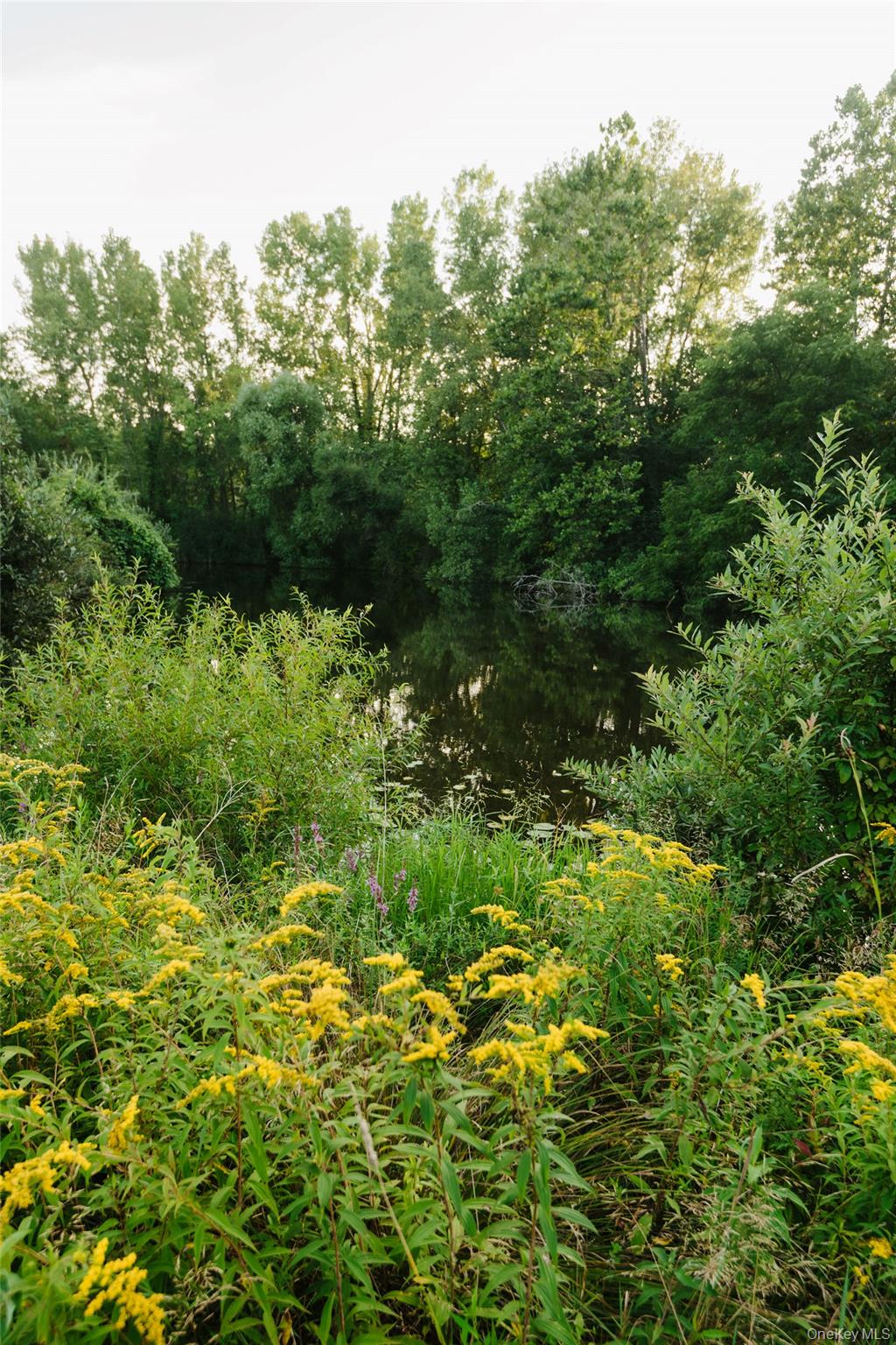 Fosler Road Property Photo 10