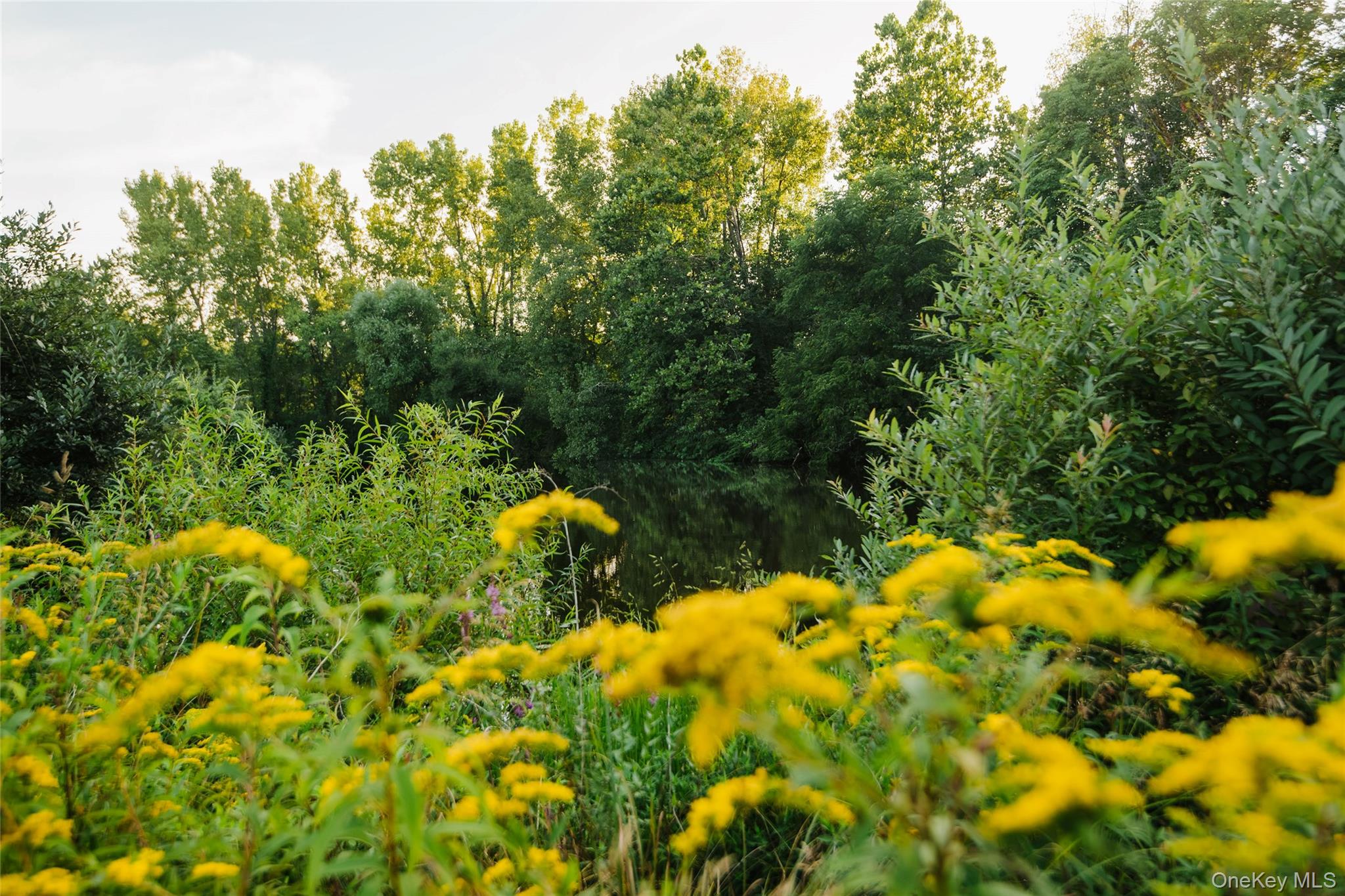 Fosler Road Property Photo 13
