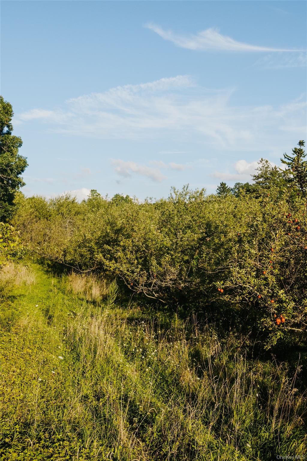 Fosler Road Property Photo 17