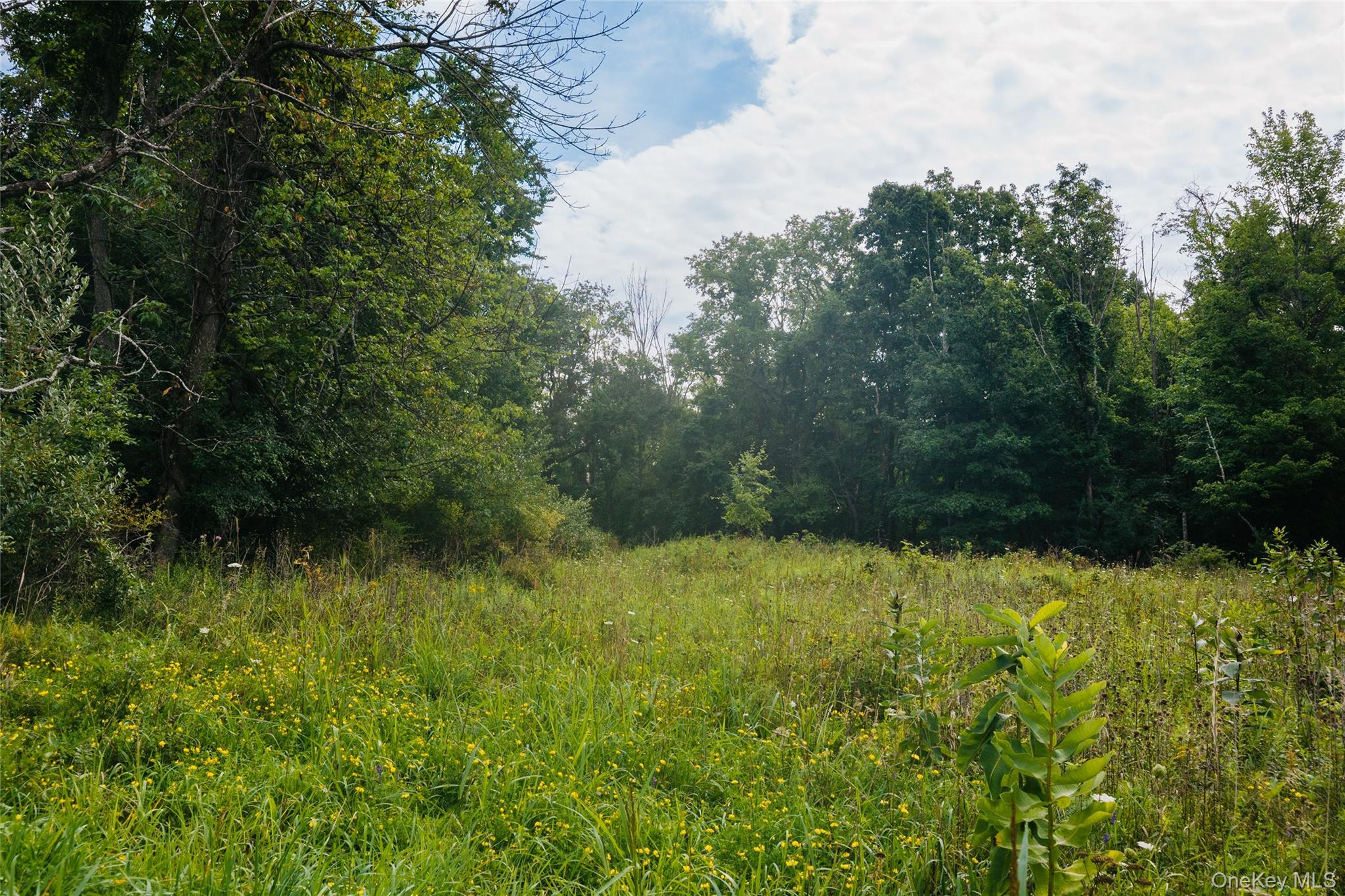 92 Restorative Lane Property Photo 9