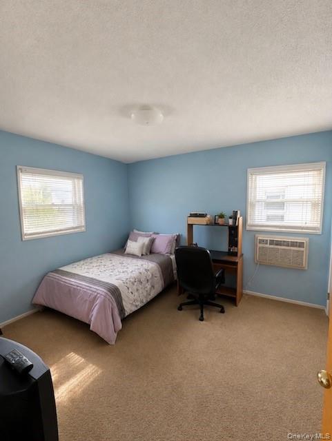 1349 E 103rd Street Property Photo 11