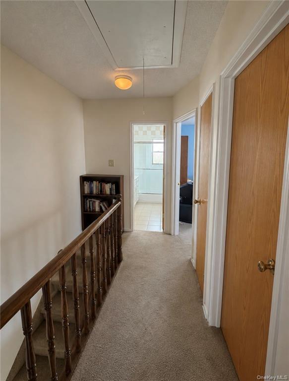 1349 E 103rd Street Property Photo 13