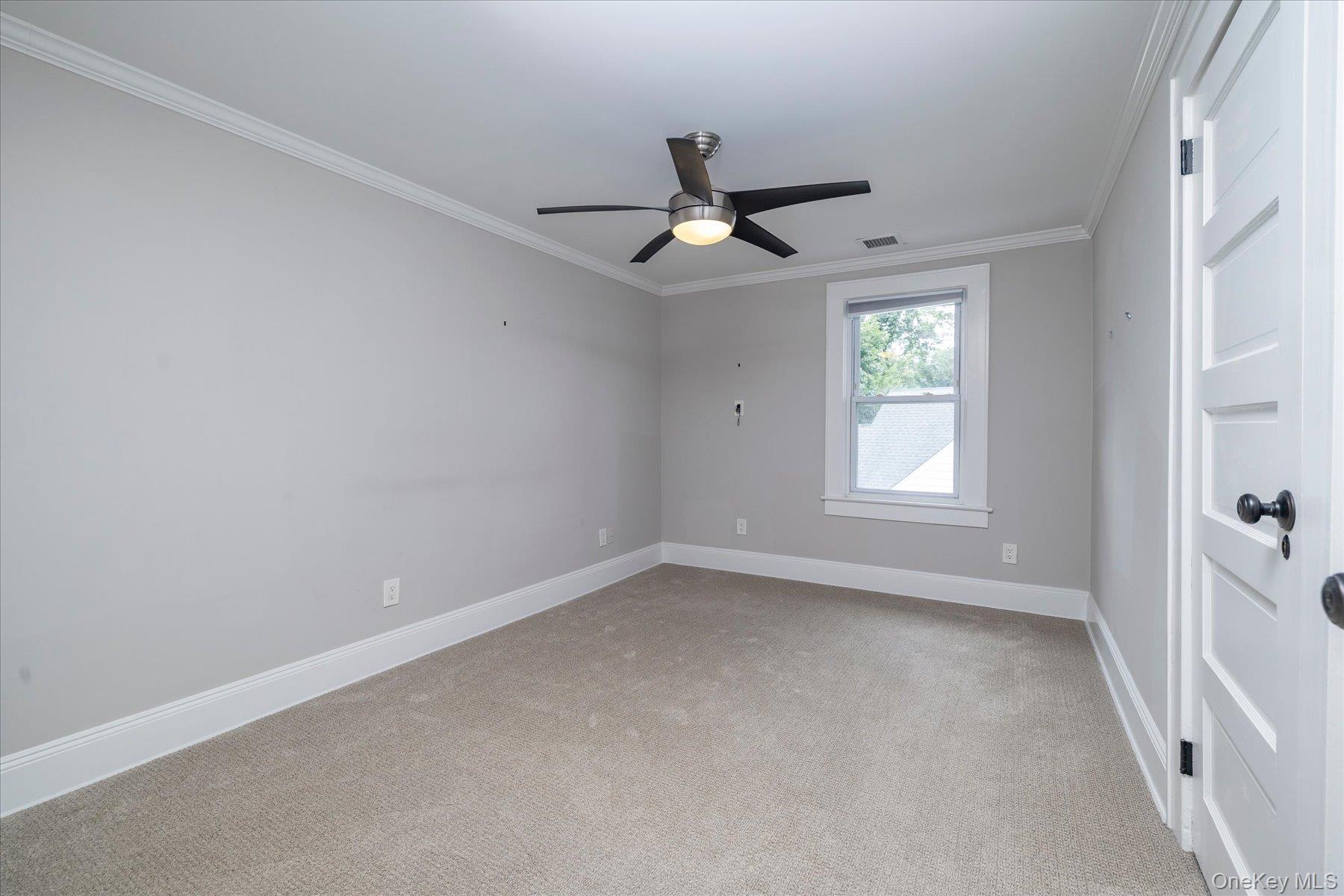 42 Woodland Avenue Upper Property Photo 8
