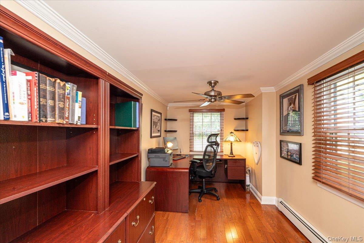 34 Albemarle Road Property Photo 16