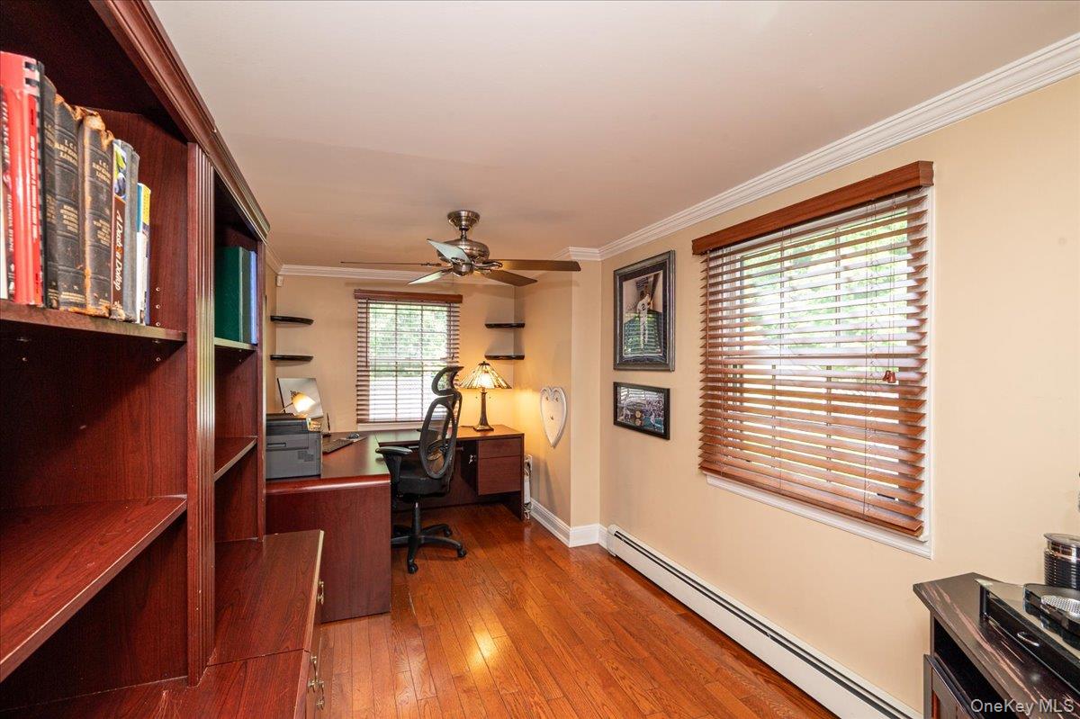 34 Albemarle Road Property Photo 17