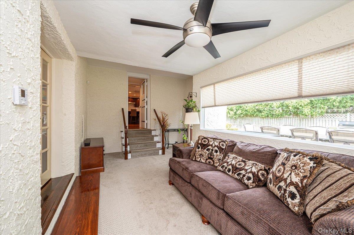 34 Albemarle Road Property Photo 20