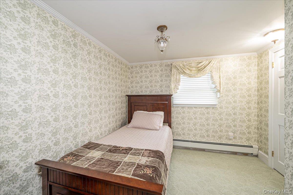 34 Albemarle Road Property Photo 33