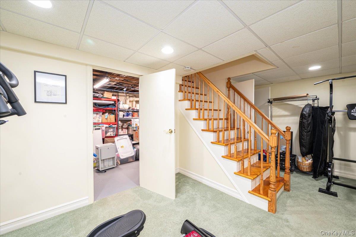 34 Albemarle Road Property Photo 41
