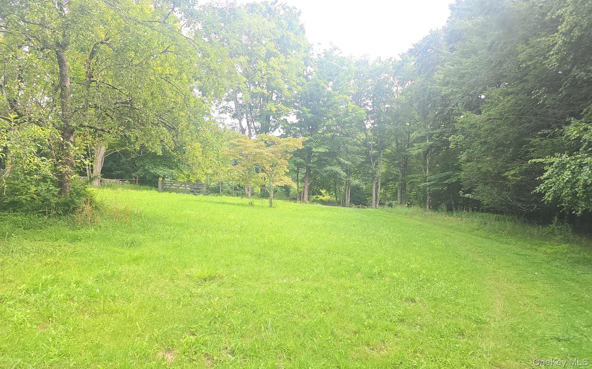 127 Old Cahoonzie Road Property Photo 2