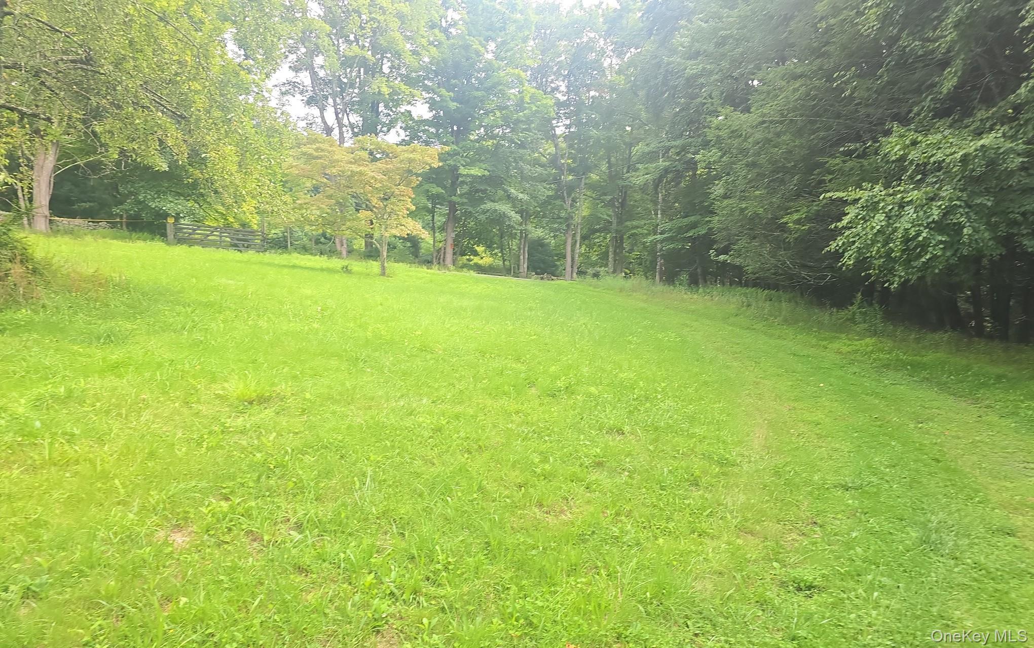 127 Old Cahoonzie Road Property Photo 3