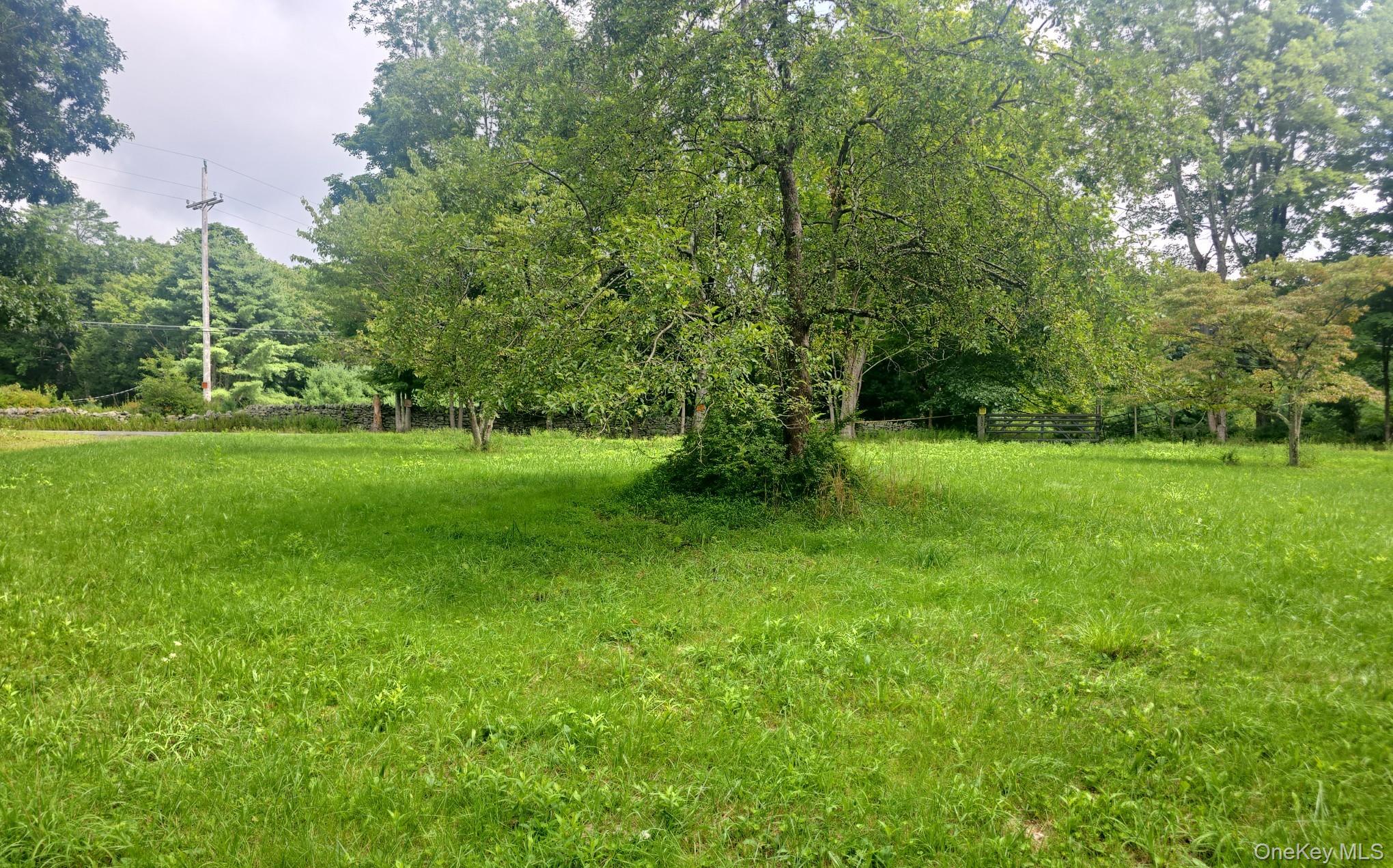 127 Old Cahoonzie Road Property Photo 4