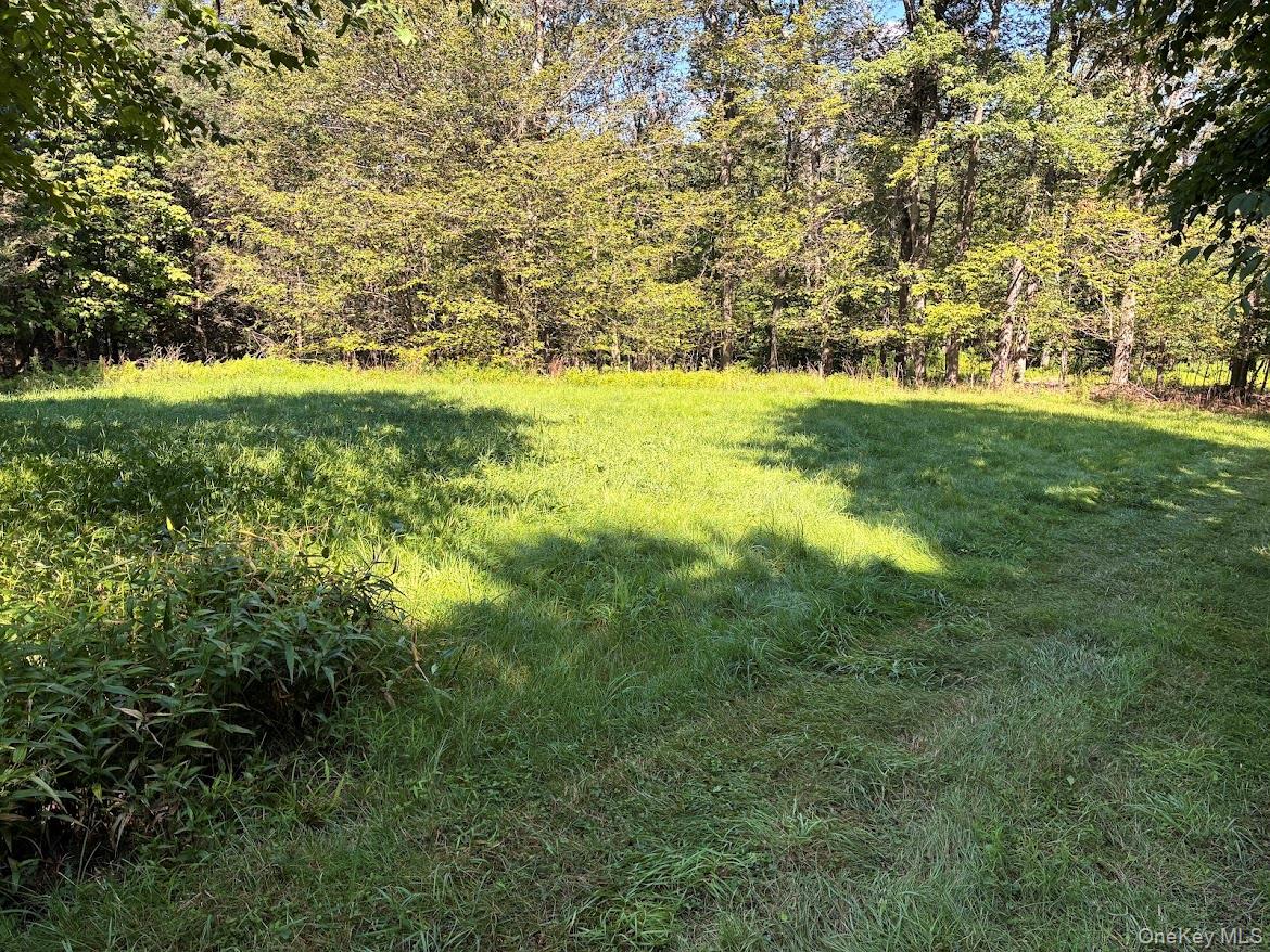 197 Bowers Road Property Photo 7