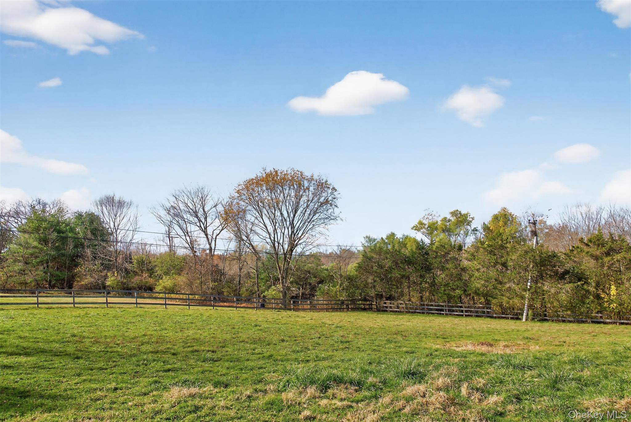 99 Dusinberre Road Property Photo 13